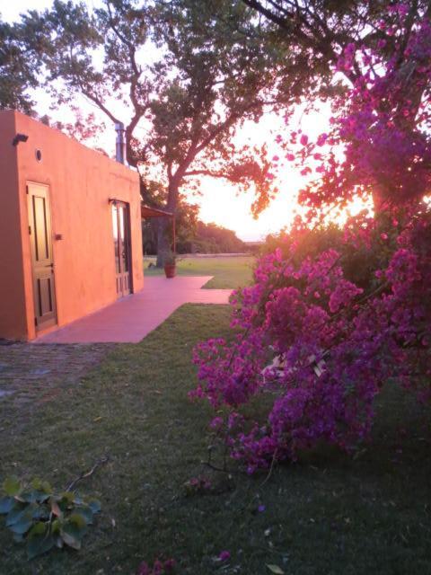 La Casona De San Pedro Villa Colonia del Sacramento Bagian luar foto